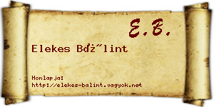 Elekes Bálint névjegykártya
